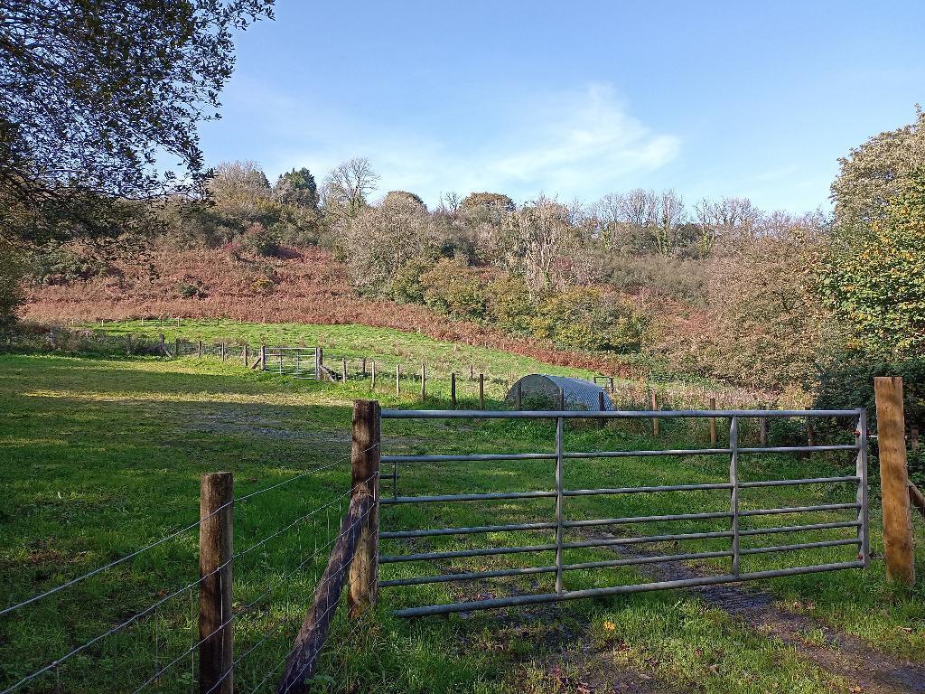 The Pastureland