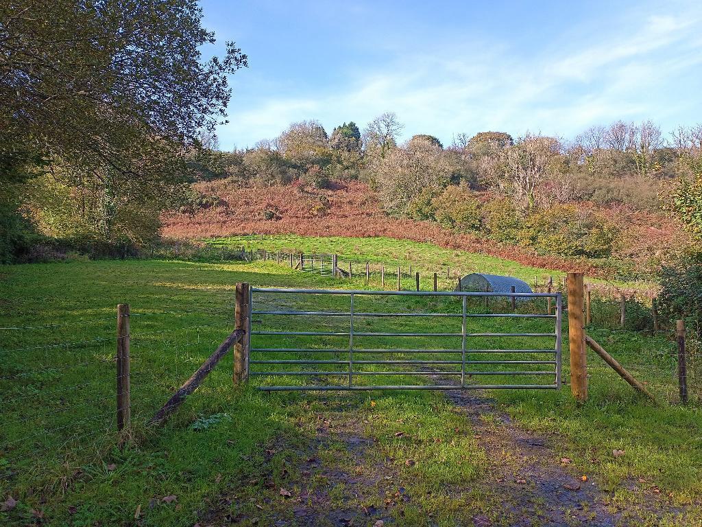 The Land