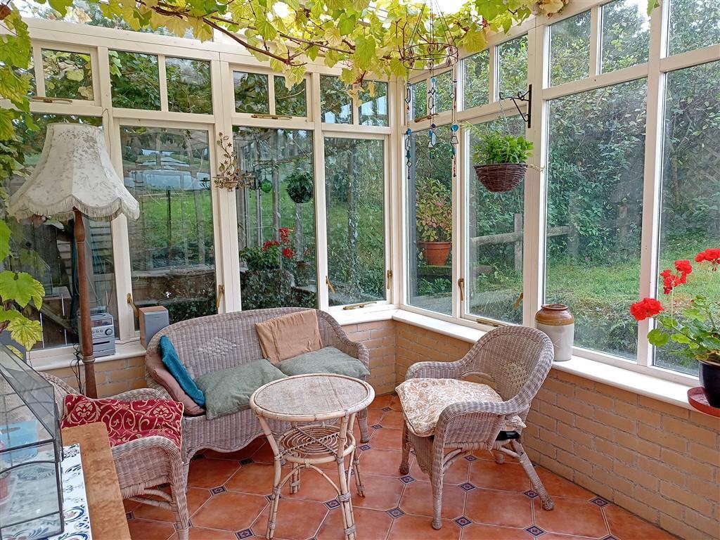 Conservatory With Grapevine