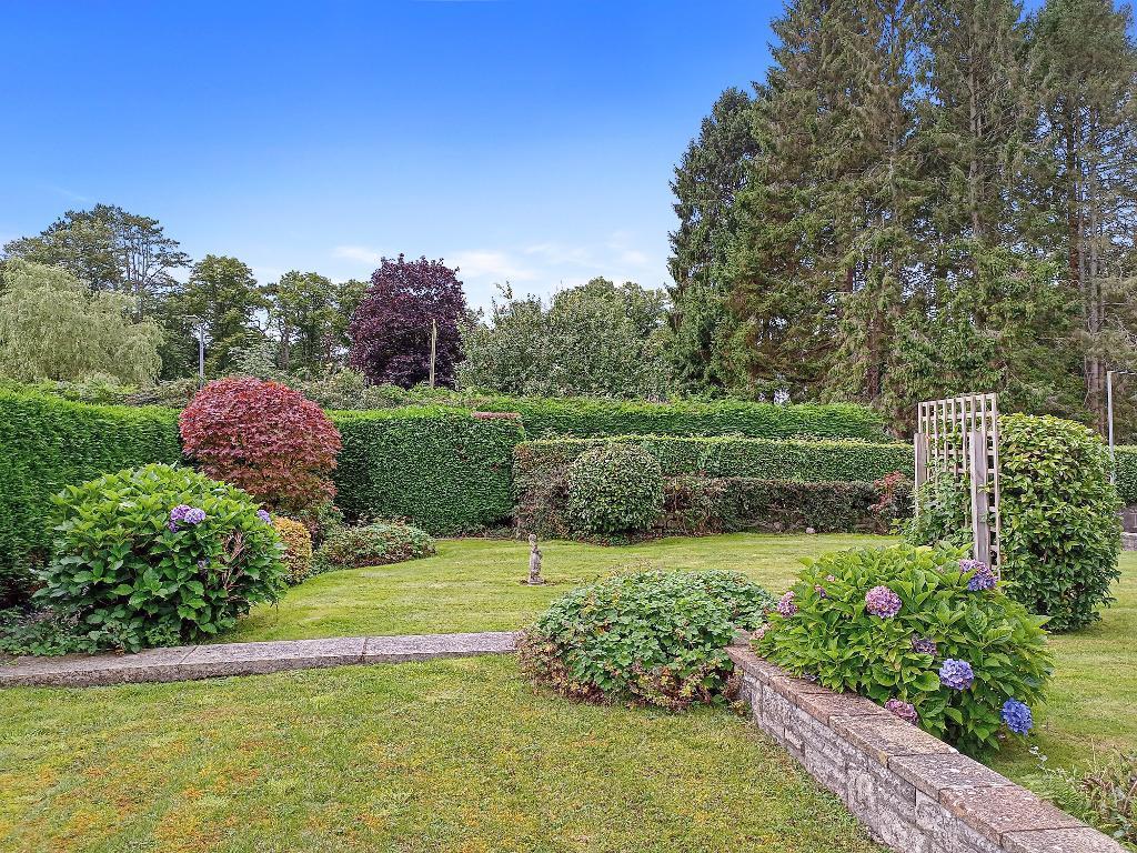 Rear Gardens