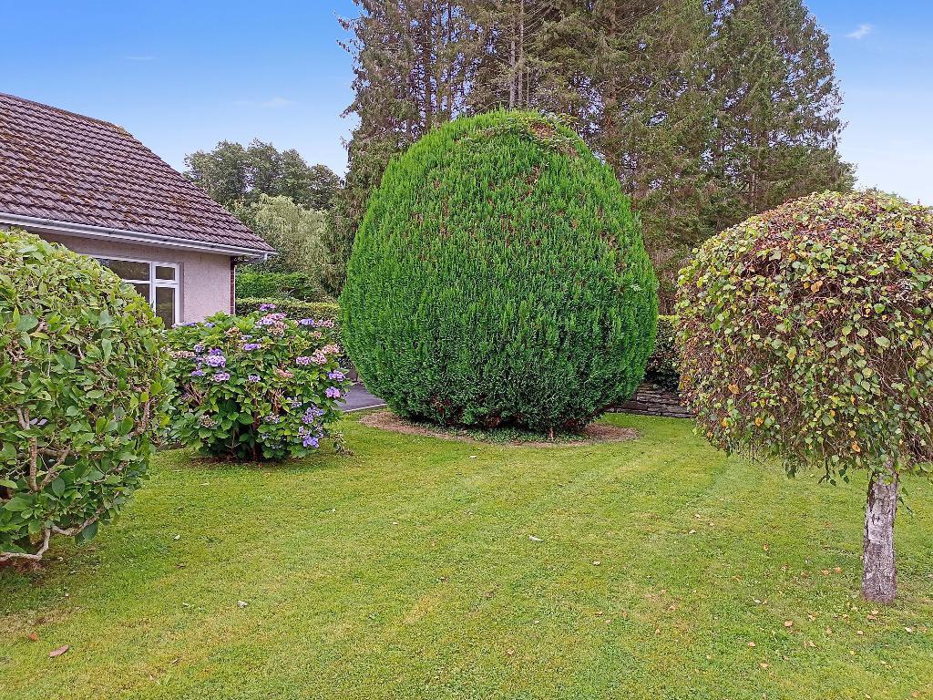 Front Gardens