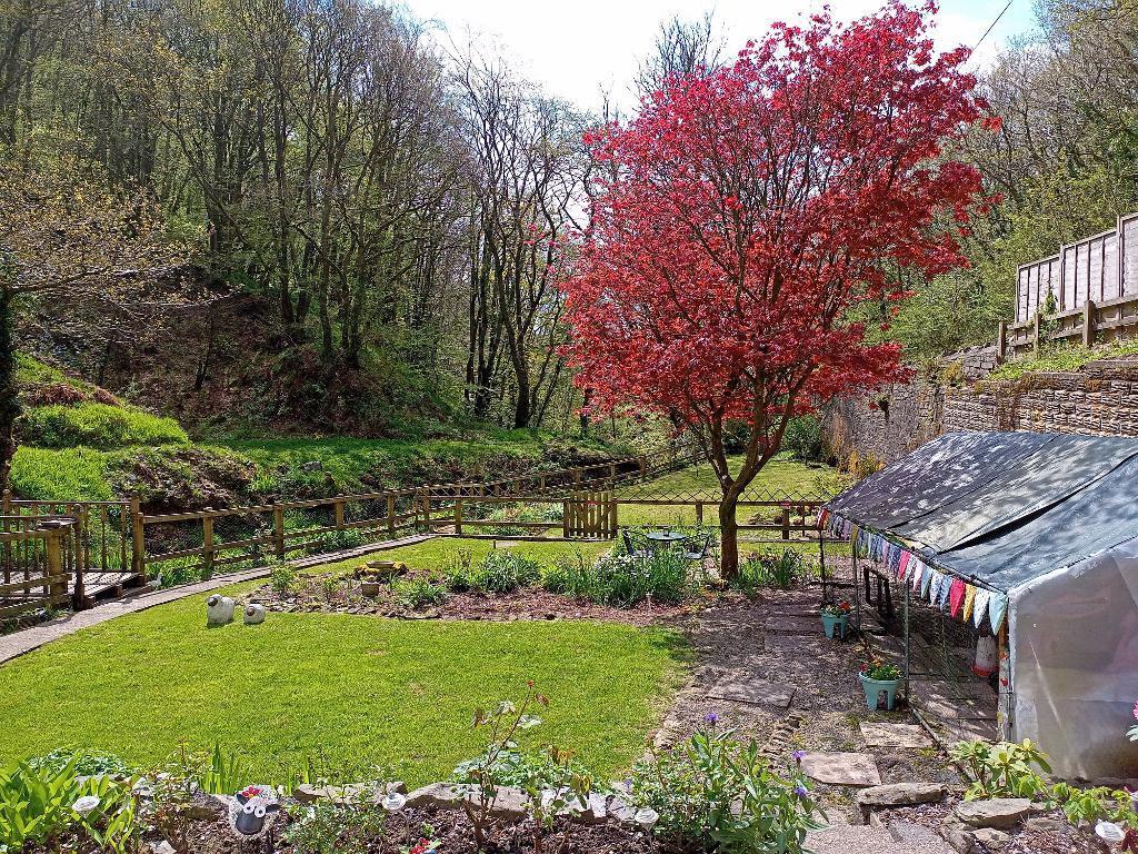 View From Conservatory