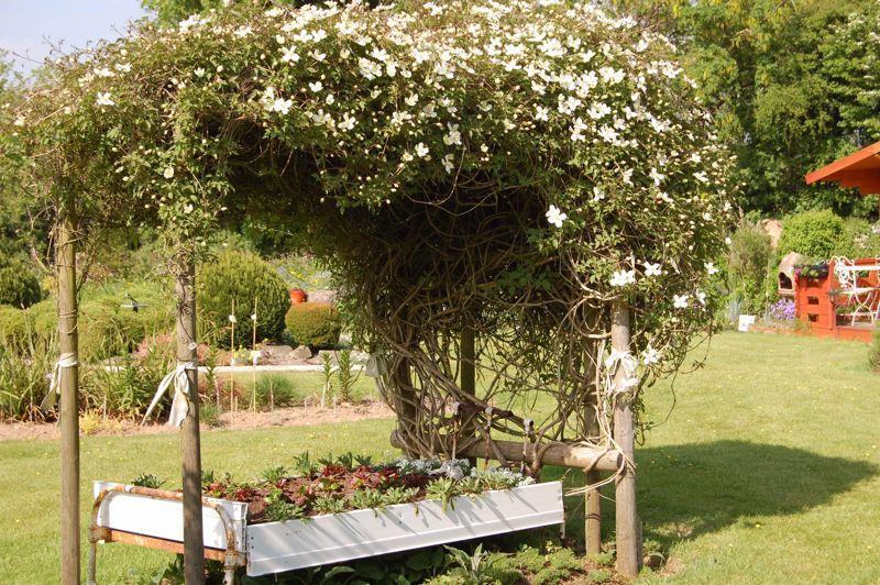 Old Summer Garden Image