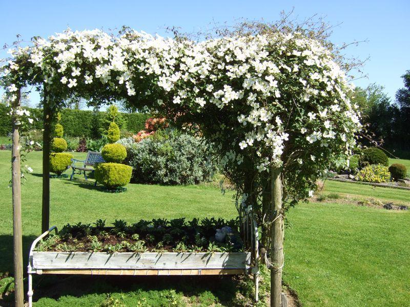 Old Summer Garden Image