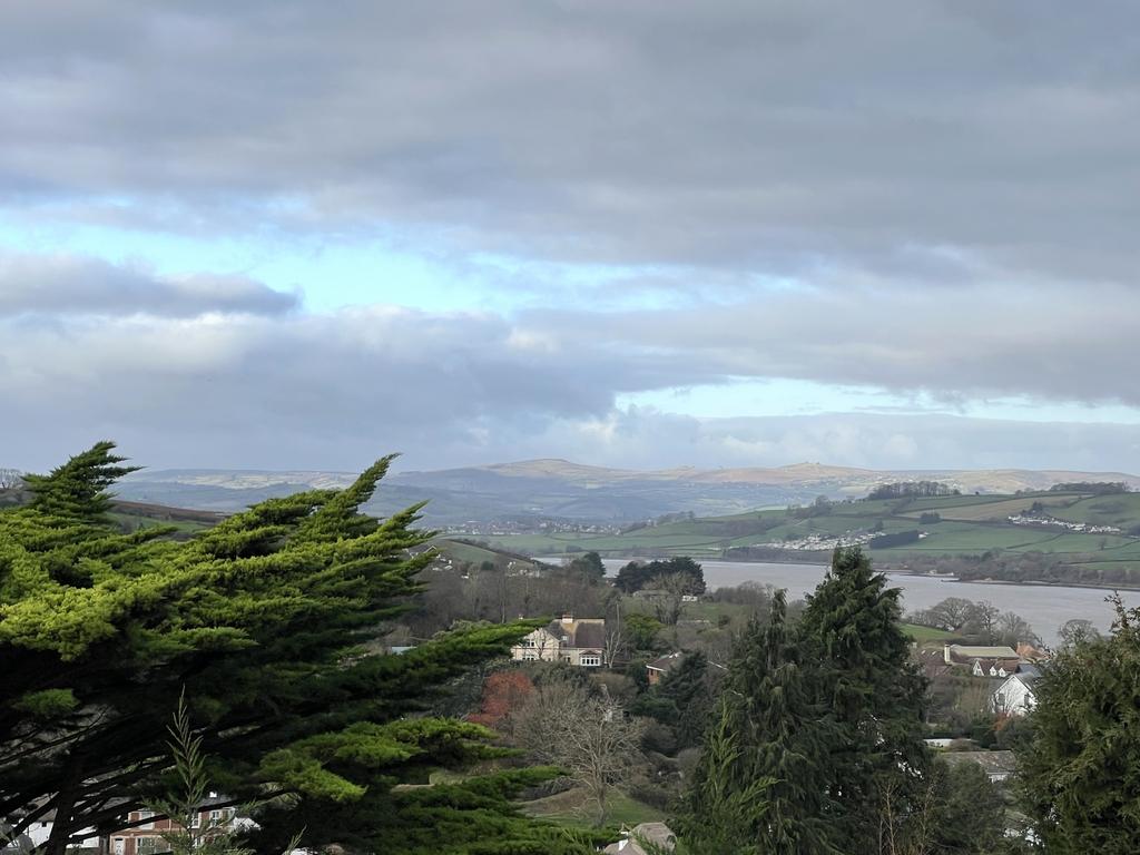 View a