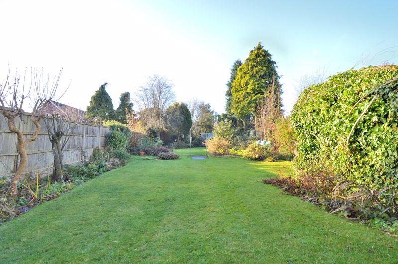 Back garden