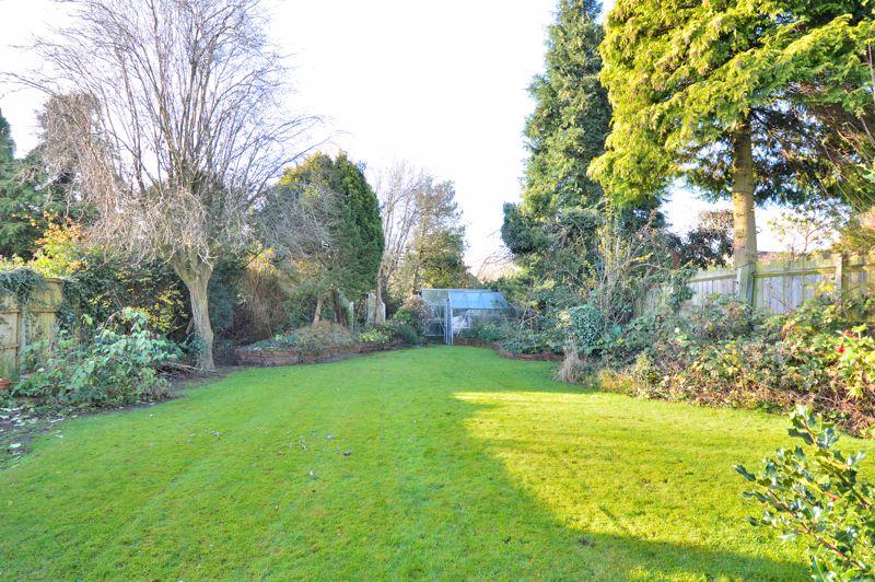 Back garden