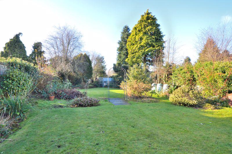 Back garden
