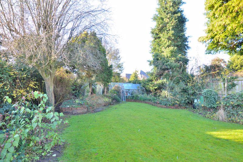 Back garden