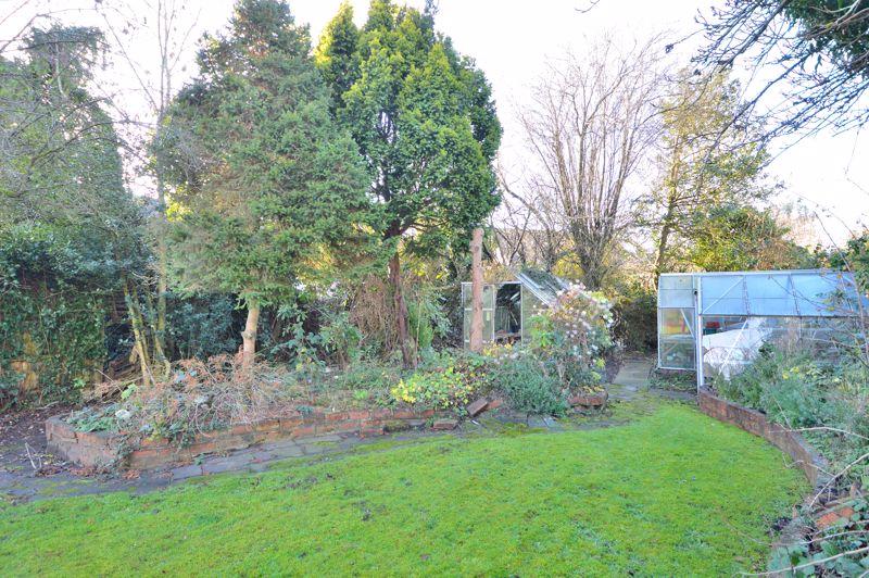Back garden