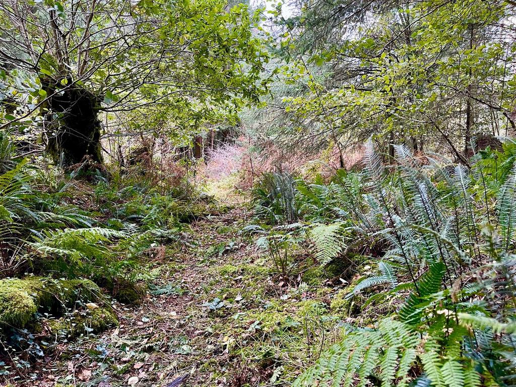 Buckland Filleigh, Beaworthy Land for sale £60,000