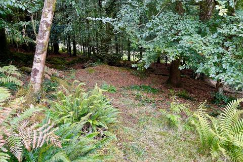 Land for sale - Buckland Filleigh, Beaworthy