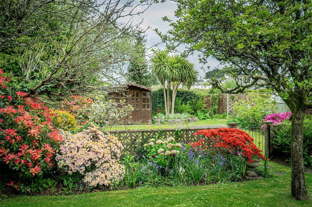 Spring Colour