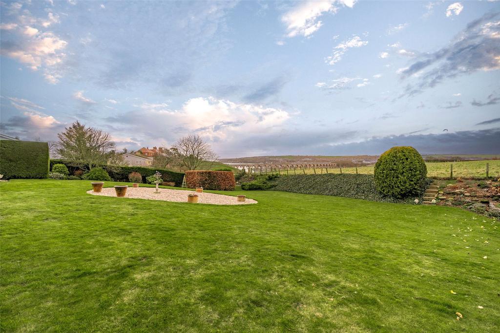 Back Garden