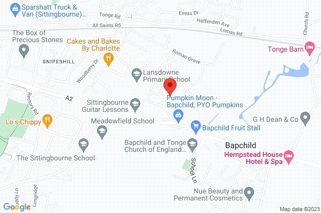 Google Maps Image