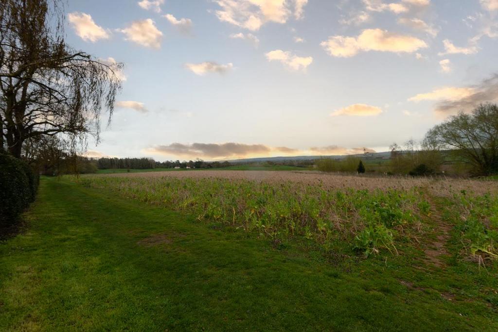 Local countryside