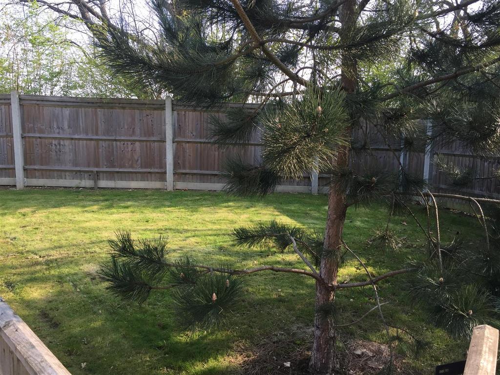 Communal Garden