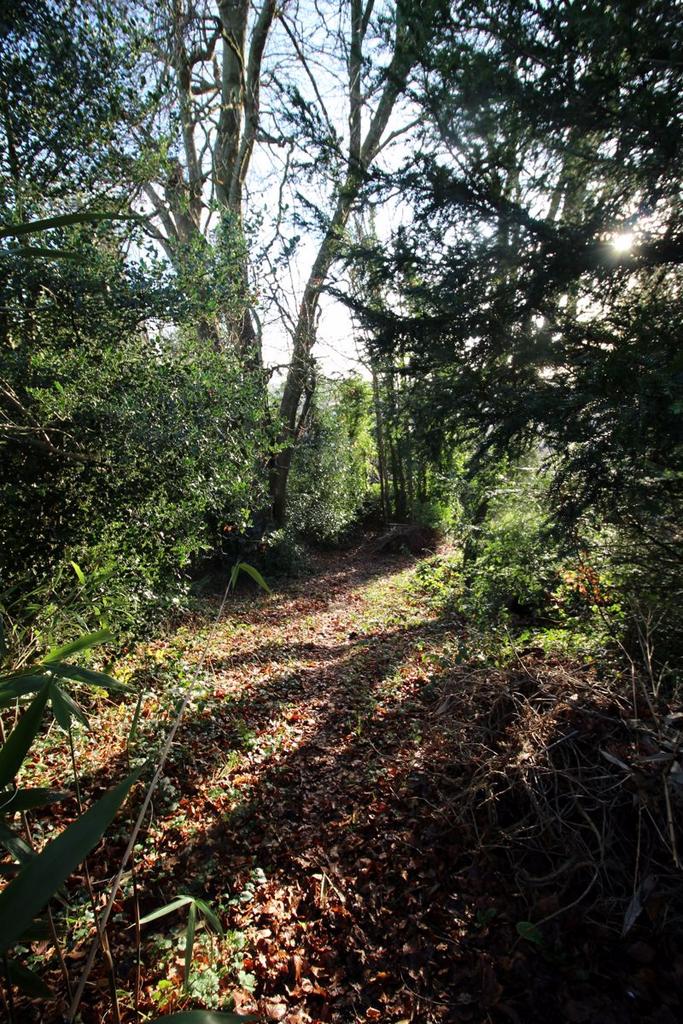 Woodland to the...