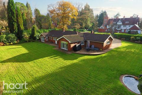 3 bedroom bungalow for sale - Tower Road, Hindhead