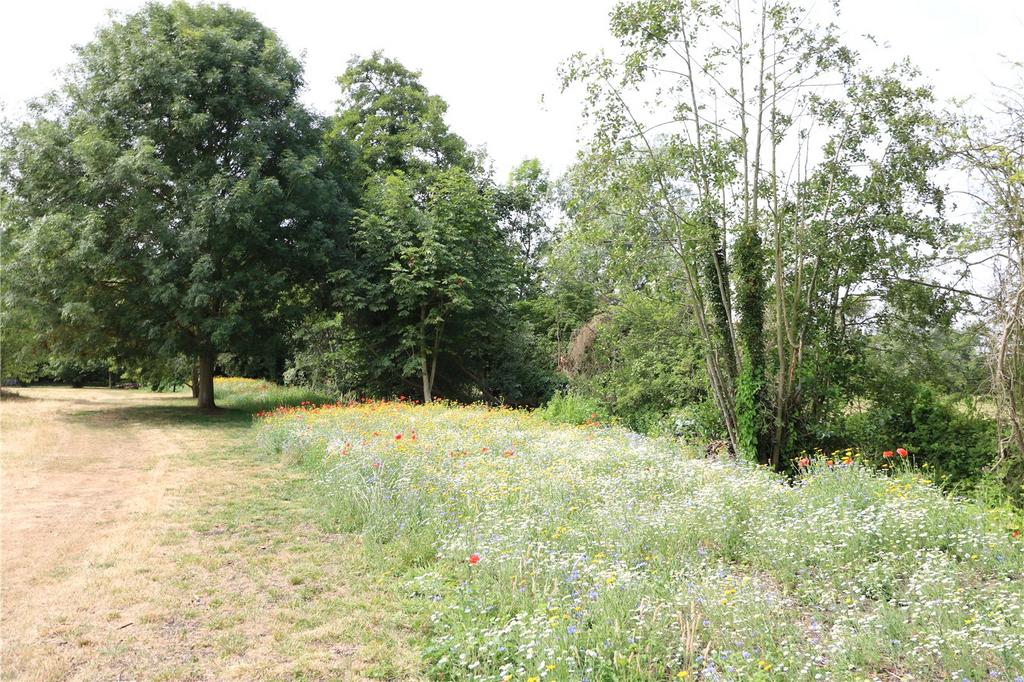 Access To Meadow