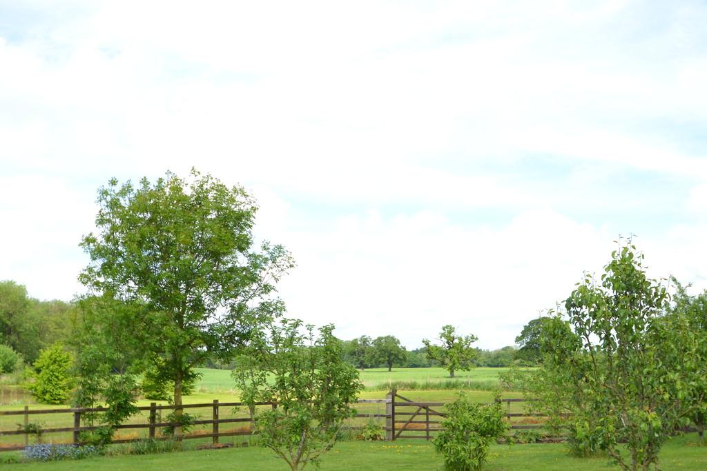 Surrounding Countryside