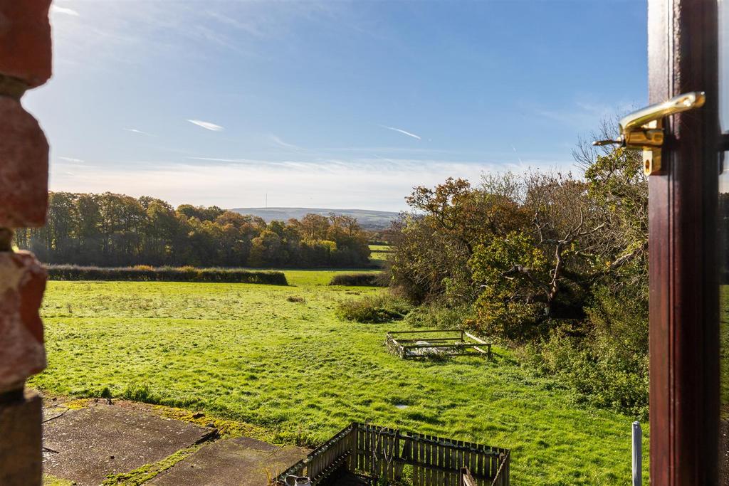 Buzzard Cottage - View