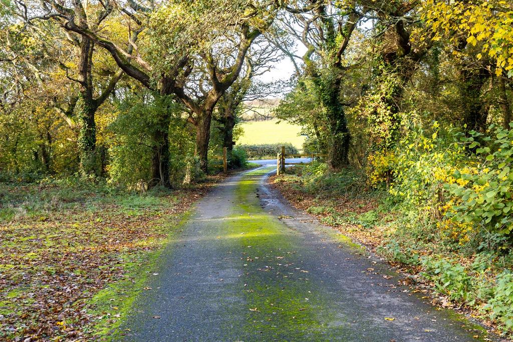 Shared Driveway