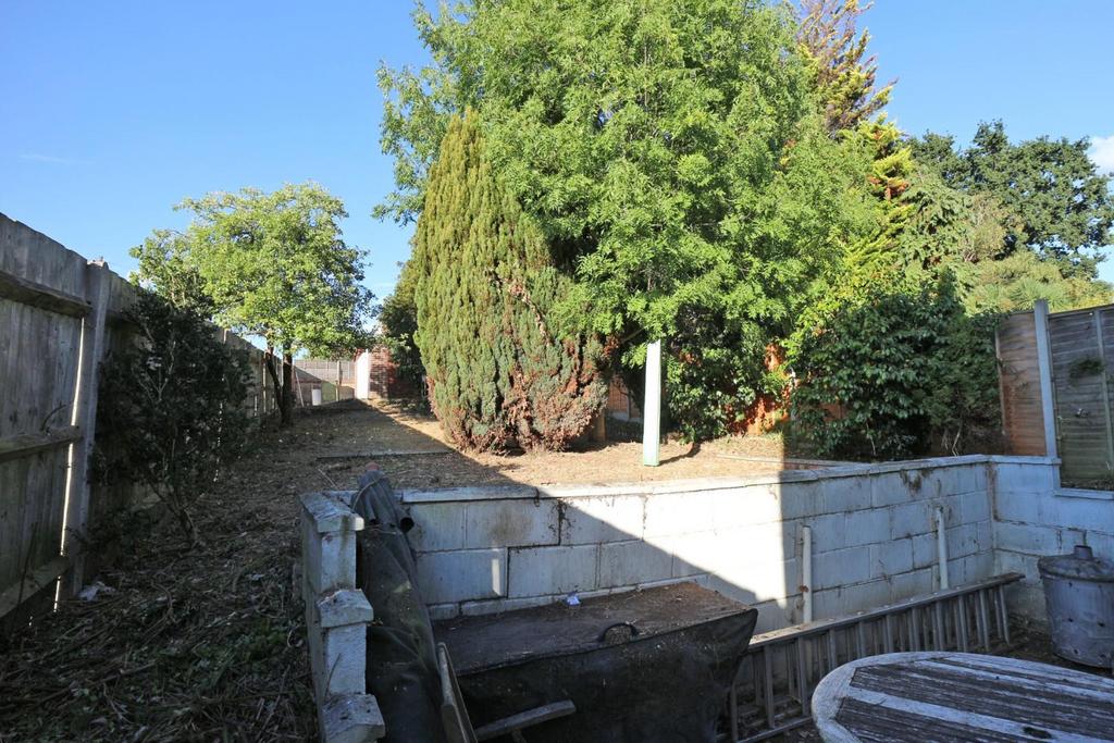 Garden 2.jpg
