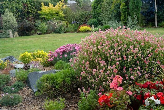 Desford - garden(vendors).jpg