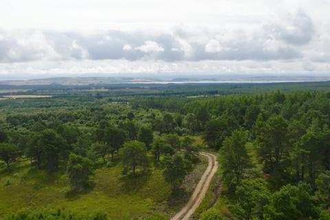 Land for sale, Quarryhill & Ardlarach Woodland, Tain, Ross-Shire, IV19