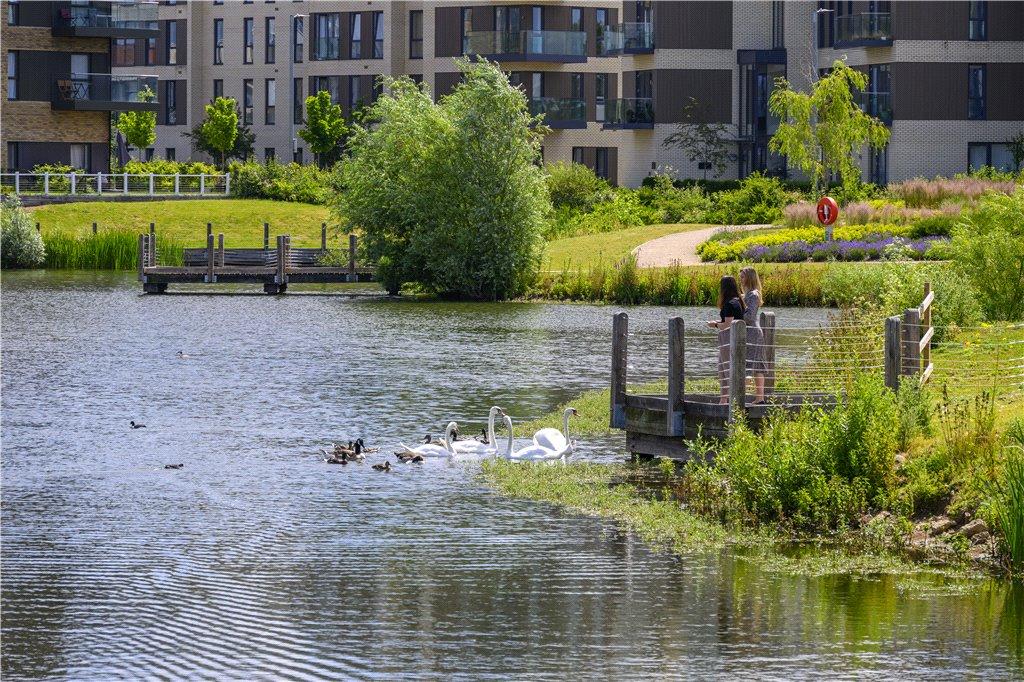 Lake View