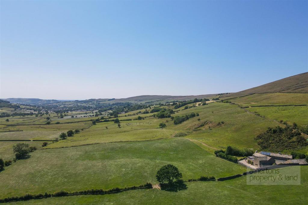 DJI 0337.jpg