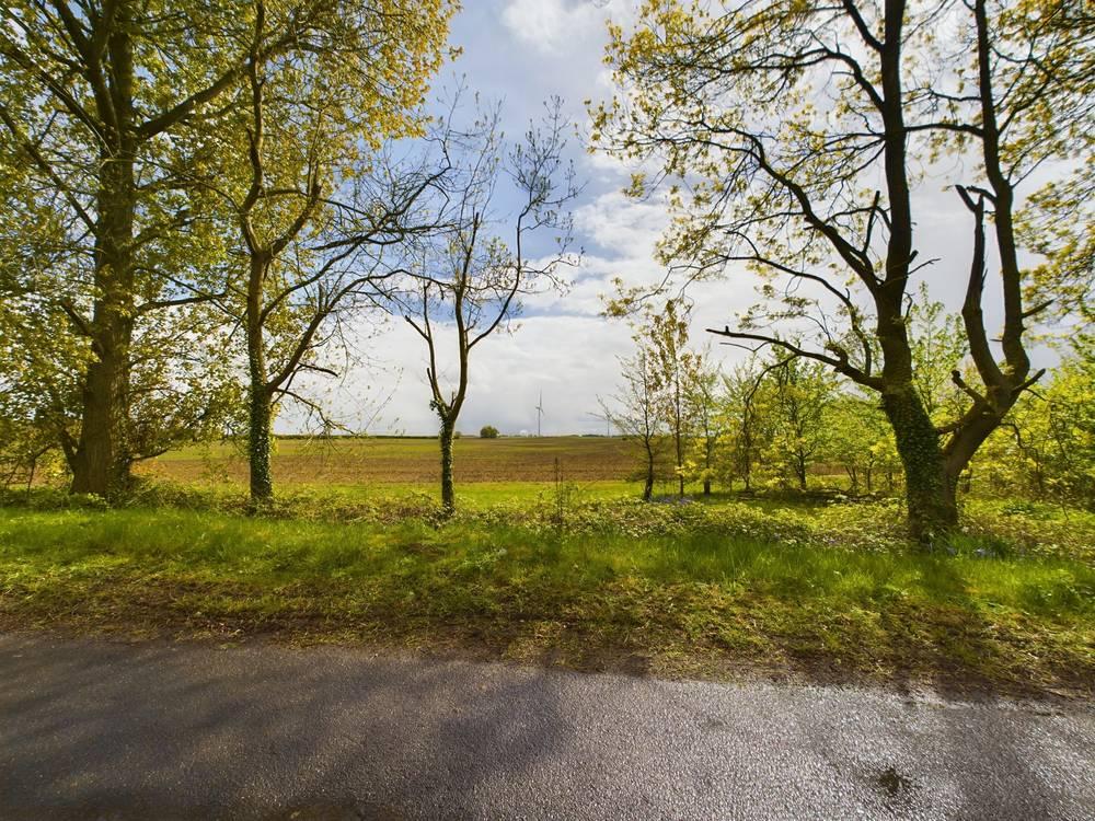 Back Lane, Burton Pidsea, HU12 4 bed detached house for sale £450,000