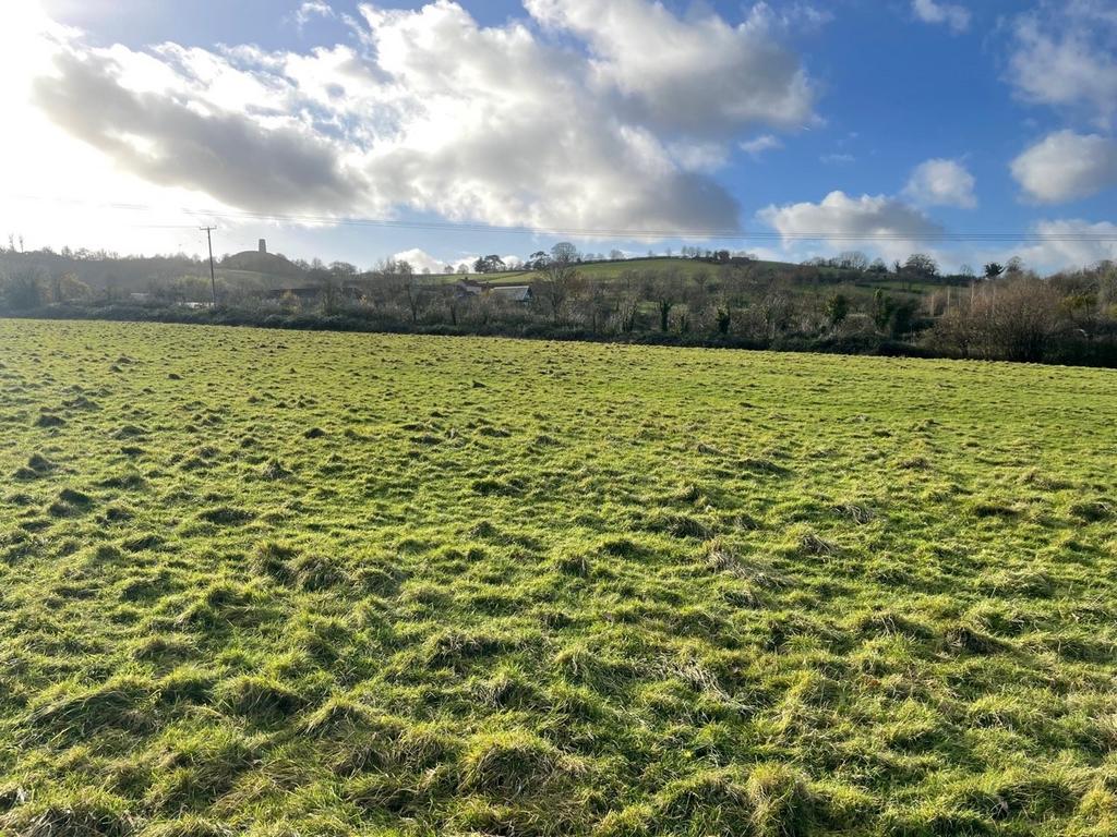 Wick Lane, Wick, Glastonbury, BA6 Farm land £60,000