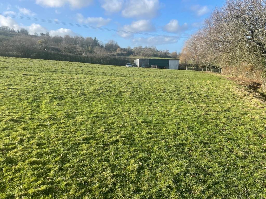 Wick Lane, Wick, Glastonbury, BA6 Farm land £60,000