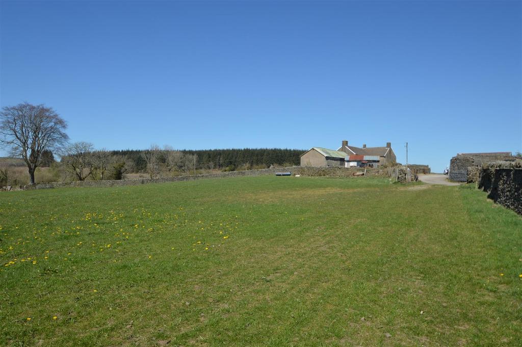 House from field.jpg