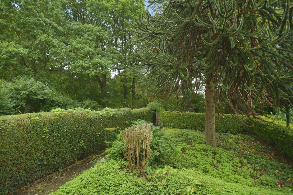 Front garden