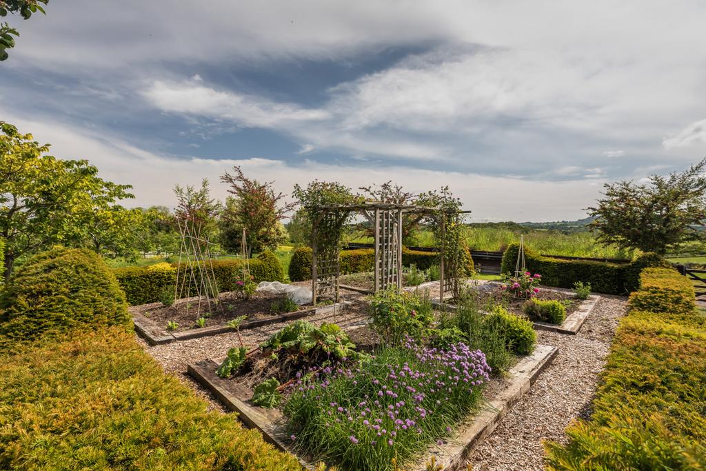 Kitchen Garden