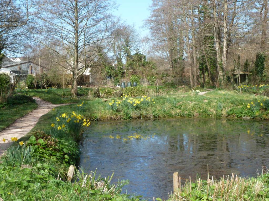 Communal Gardens