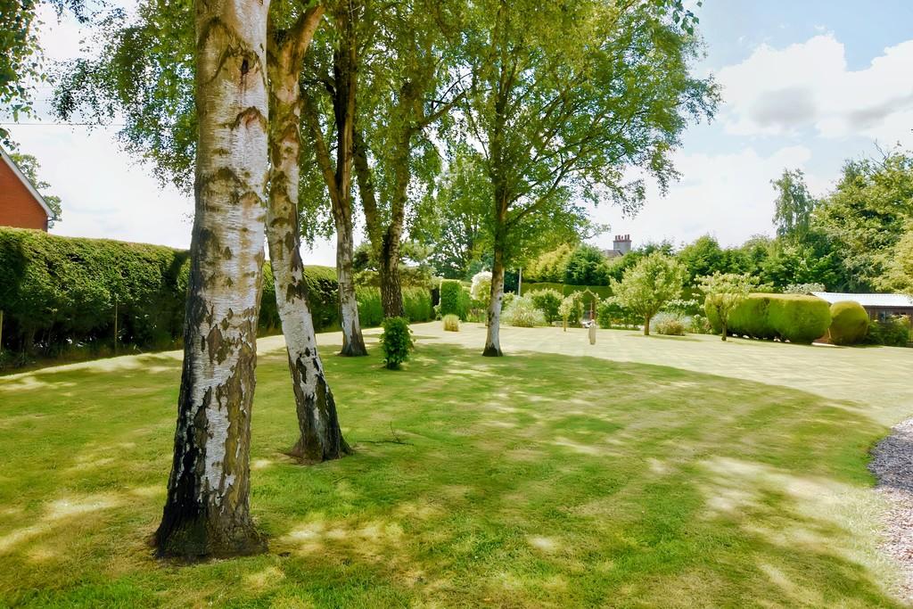 Garden 1