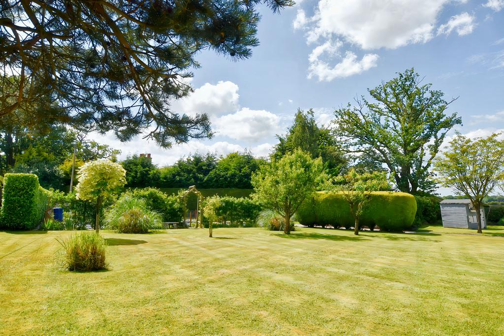 Garden 2