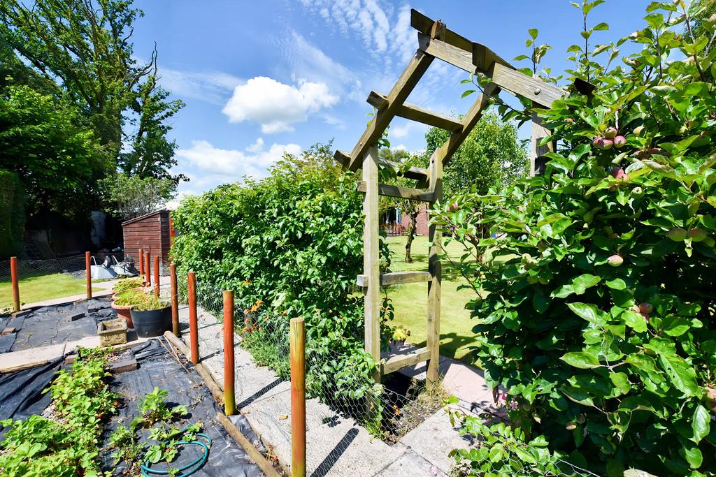 Kitchen Garden