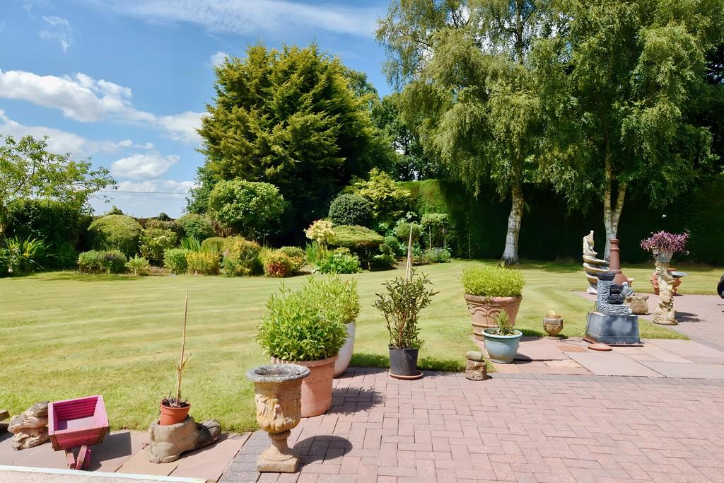 Garden 6