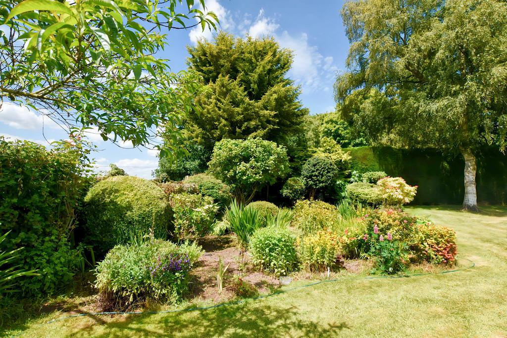 Garden 7