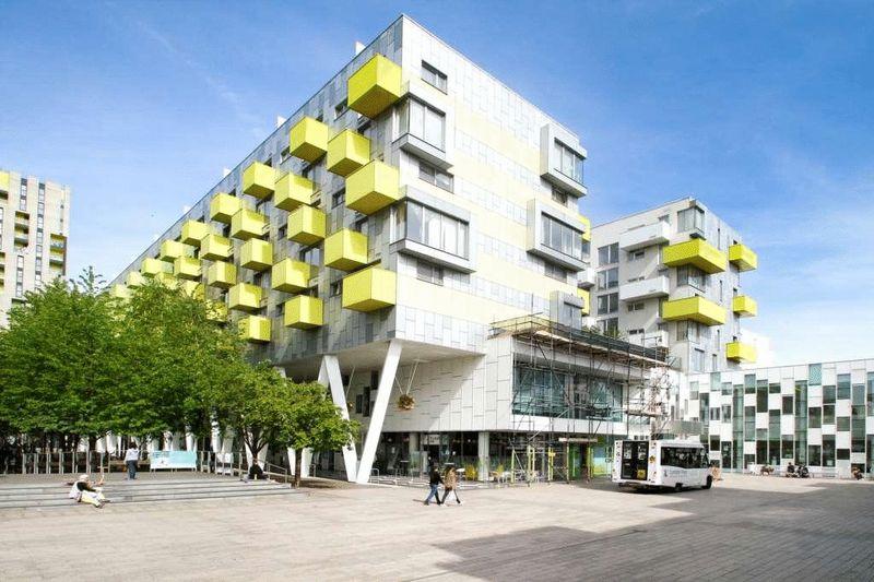 Photo 5