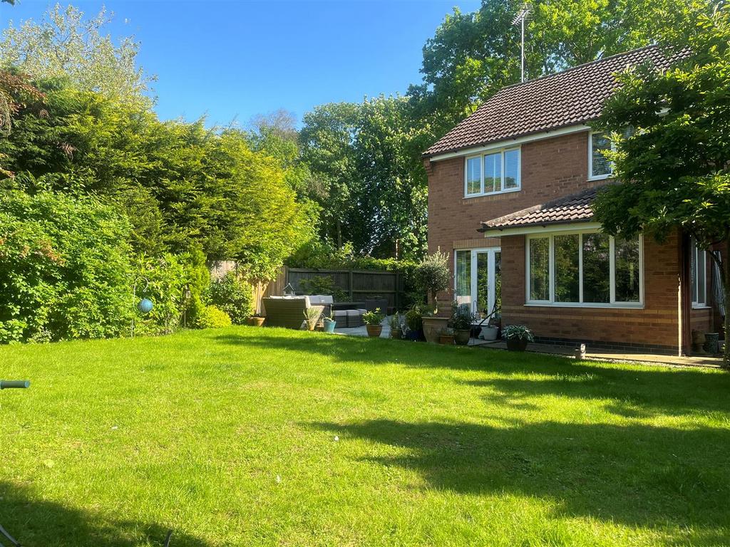 Rear 2.jpg