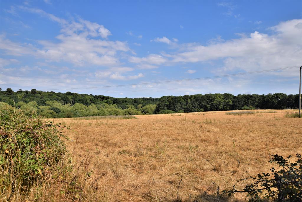 Picture 24