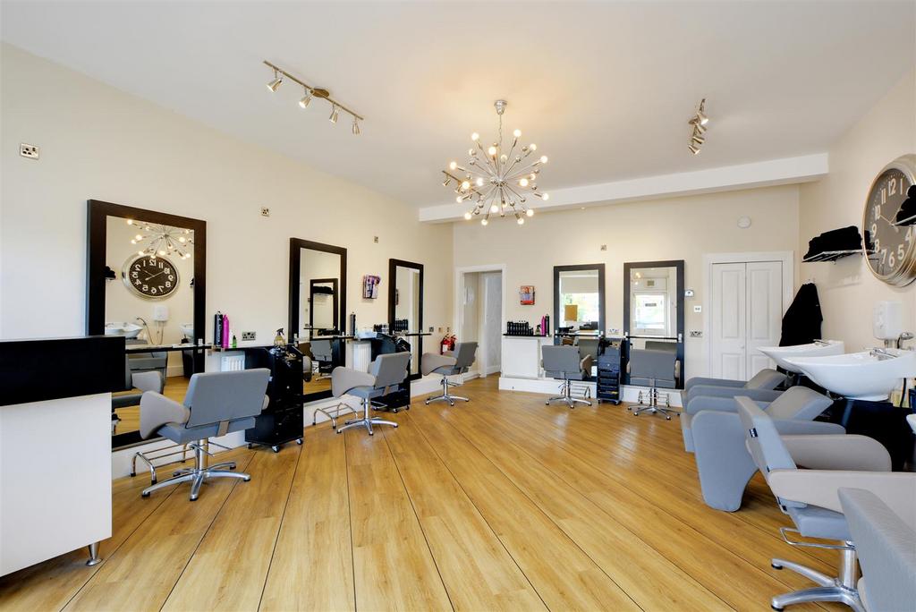 Salon 3.jpeg