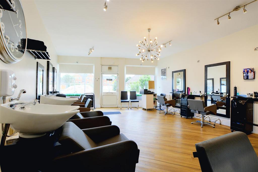 Salon 2.jpeg