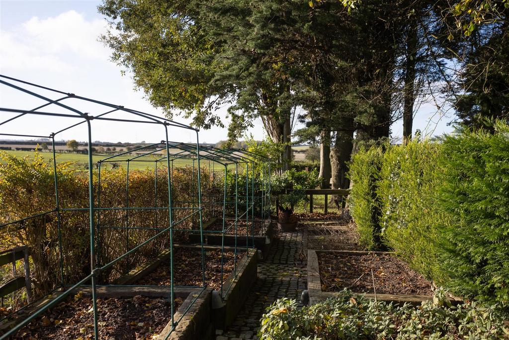 Vegetable Garden